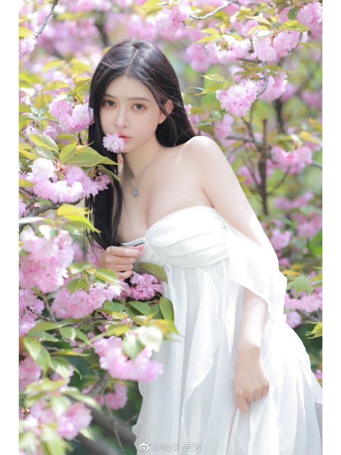 海上钢琴师 封面